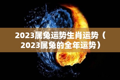 2023属兔运势生肖运势（2023属兔的全年运势）