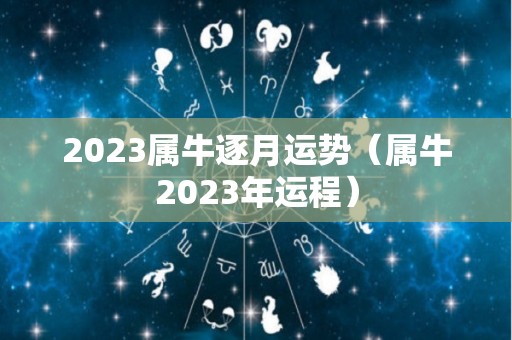 2023属牛逐月运势（属牛2023年运程）