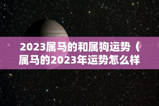 2023属马的和属狗运势（属马的2023年运势怎么样）