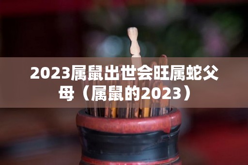 2023属鼠出世会旺属蛇父母（属鼠的2023）