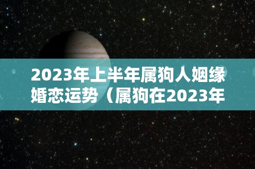 2023年上半年属狗人姻缘婚恋运势（属狗在2023年婚姻怎么样）