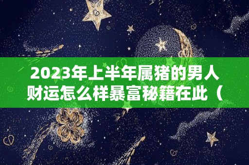 2023年上半年属猪的男人财运怎么样暴富秘籍在此（2023年属猪的财运和运气如何）