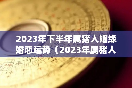 2023年下半年属猪人姻缘婚恋运势（2023年属猪人的全年运势详解）