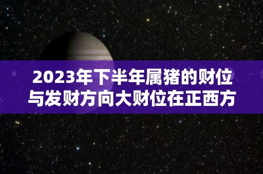 2023年下半年属猪的财位与发财方向大财位在正西方（属猪人2023年下半年运势及运程）