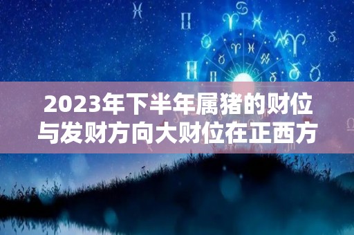 2023年下半年属猪的财位与发财方向大财位在正西方（2023年属猪的全年运势怎么样）