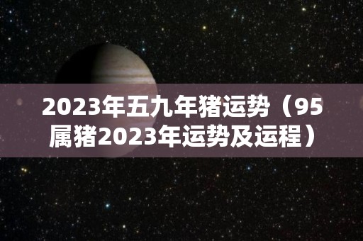 2023年五九年猪运势（95属猪2023年运势及运程）