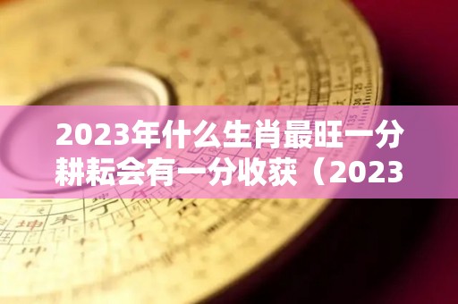 2023年什么生肖最旺一分耕耘会有一分收获（2023年什么生肖）