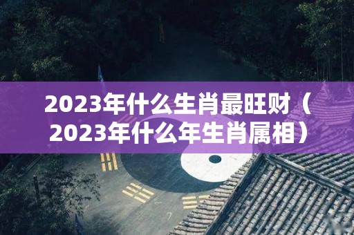 2023年什么生肖最旺财（2023年什么年生肖属相）