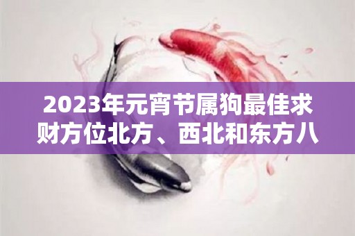 2023年元宵节属狗最佳求财方位北方、西北和东方八方来财（2023年属狗的全年运势）