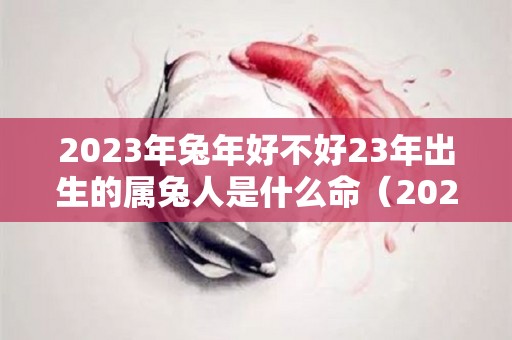 2023年兔年好不好23年出生的属兔人是什么命（2023年属兔的是什么命格）