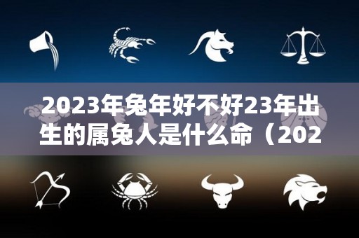 2023年兔年好不好23年出生的属兔人是什么命（2023年属相兔是什么命）