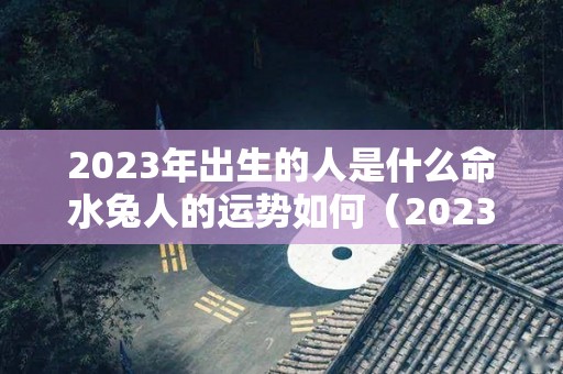 2023年出生的人是什么命水兔人的运势如何（2023年属兔的是水命还是金命）