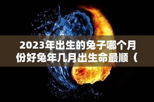 2023年出生的兔子哪个月份好兔年几月出生命最顺（2023年属兔的几月出生好）