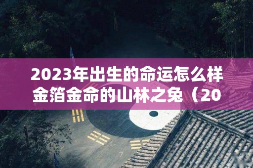 2023年出生的命运怎么样金箔金命的山林之兔（2023年兔年是金命吗）