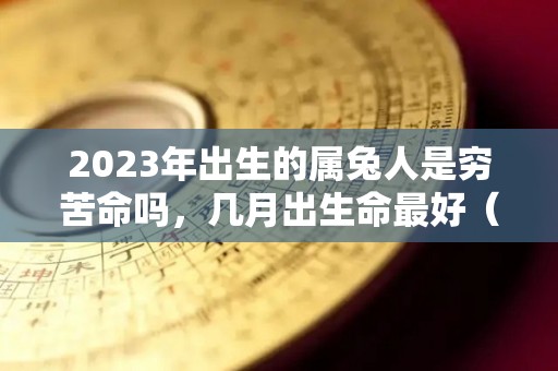 2023年出生的属兔人是穷苦命吗，几月出生命最好（属兔2023年出生什么命）