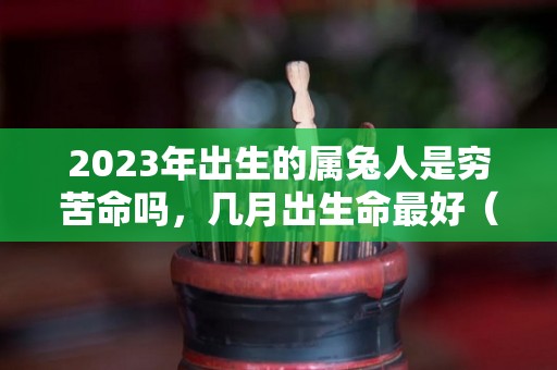 2023年出生的属兔人是穷苦命吗，几月出生命最好（2023年的兔出生于几月好）