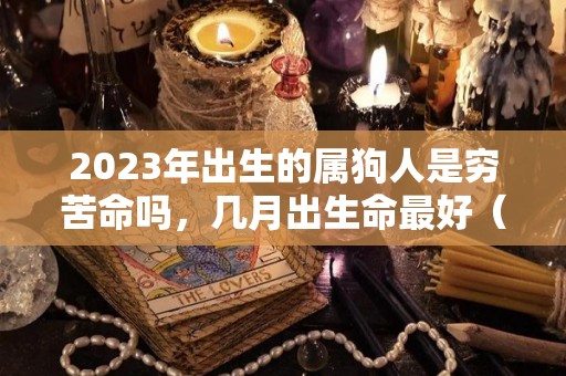 2023年出生的属狗人是穷苦命吗，几月出生命最好（2023年属狗）