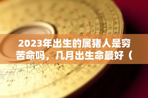 2023年出生的属猪人是穷苦命吗，几月出生命最好（2023年属猪人的全年运势详解）