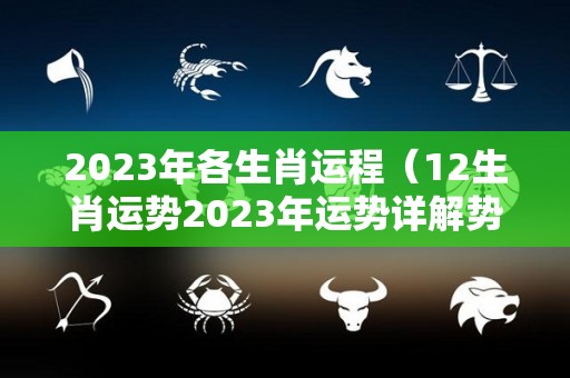 2023年各生肖运程（12生肖运势2023年运势详解势详解）