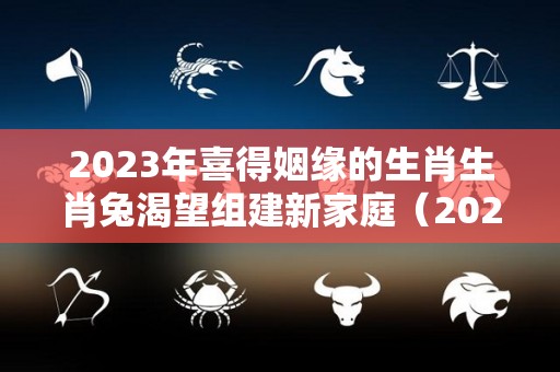 2023年喜得姻缘的生肖生肖兔渴望组建新家庭（2023年的兔）