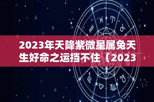 2023年天降紫微星属兔天生好命之运挡不住（2023年天降紫微星姓什么）