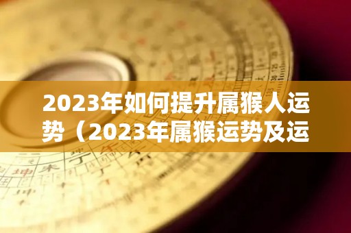 2023年如何提升属猴人运势（2023年属猴运势及运程）