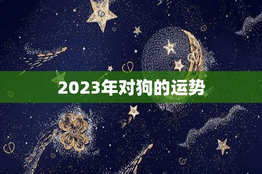 2023年对狗的运势