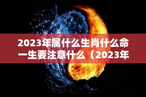 2023年属什么生肖什么命一生要注意什么（2023年年属什么生肖）