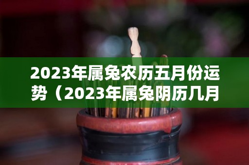 2023年属兔农历五月份运势（2023年属兔阴历几月出生好）