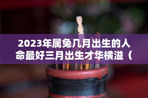 2023年属兔几月出生的人命最好三月出生才华横溢（2023属兔几月出生最有福气）