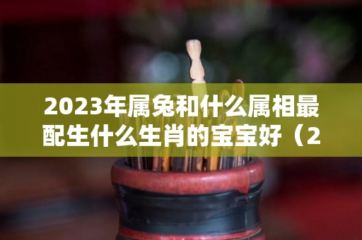 2023年属兔和什么属相最配生什么生肖的宝宝好（2023年属兔和什么属相最配生什么生肖的宝宝好呢）