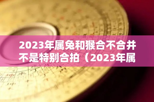 2023年属兔和猴合不合并不是特别合拍（2023年属兔适合结婚吗）