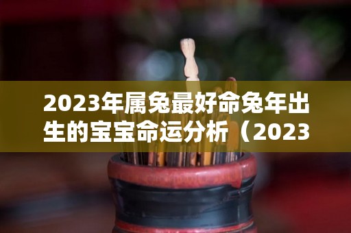 2023年属兔最好命兔年出生的宝宝命运分析（2023年生兔子）