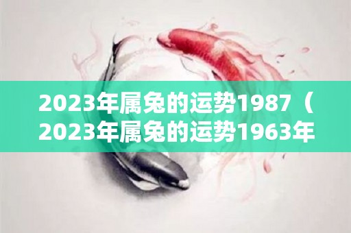 2023年属兔的运势1987（2023年属兔的运势1963年出生）