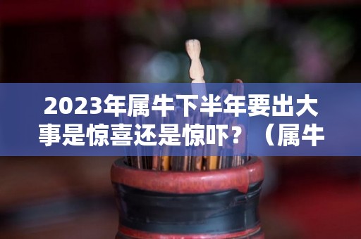 2023年属牛下半年要出大事是惊喜还是惊吓？（属牛 2023）