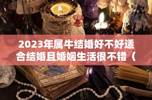 2023年属牛结婚好不好适合结婚且婚姻生活很不错（2023年属牛女适合结婚吗）