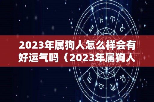 2023年属狗人怎么样会有好运气吗（2023年属狗人怎么样会有好运气吗女孩）