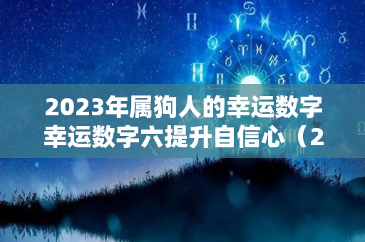 2023年属狗人的幸运数字幸运数字六提升自信心（2023年属狗人运势）