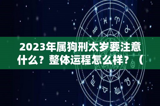 2023年属狗刑太岁要注意什么？整体运程怎么样？（2023年属狗的犯太岁吗）