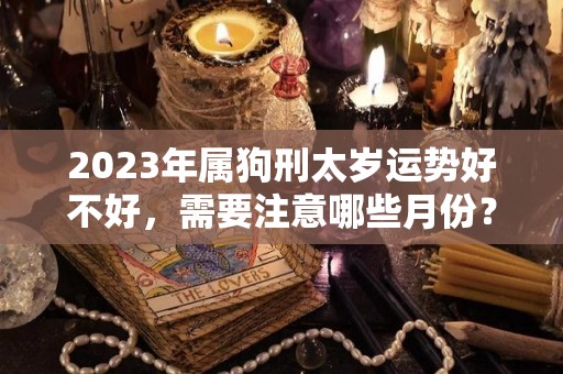 2023年属狗刑太岁运势好不好，需要注意哪些月份？（2022年属狗刑太岁怎么化解）