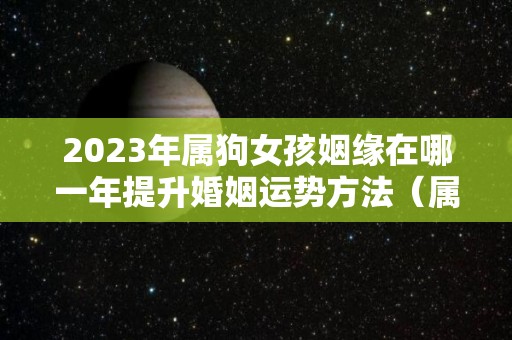 2023年属狗女孩姻缘在哪一年提升婚姻运势方法（属狗女2023年运势及运程每月运程）