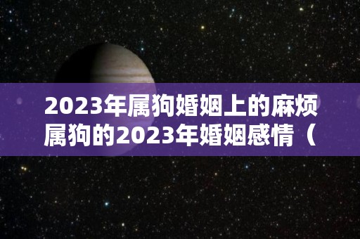 2023年属狗婚姻上的麻烦属狗的2023年婚姻感情（属狗在2023年婚姻怎么样）