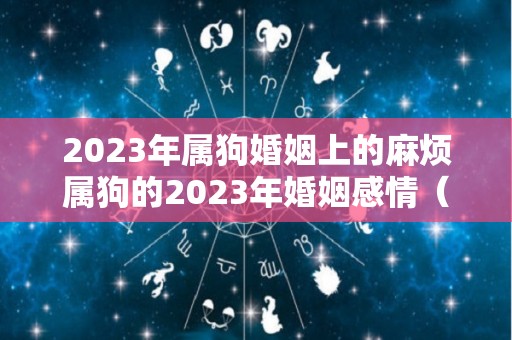 2023年属狗婚姻上的麻烦属狗的2023年婚姻感情（属狗2023年感情运势）