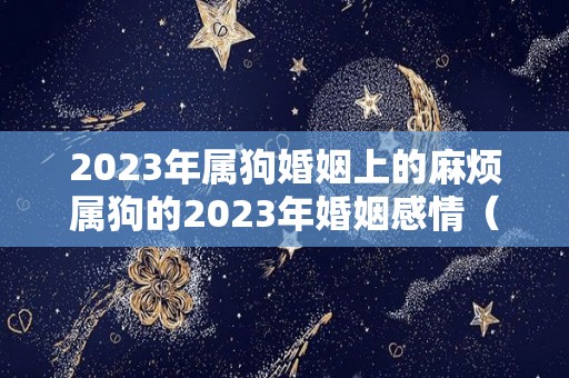 2023年属狗婚姻上的麻烦属狗的2023年婚姻感情（2023年属狗人的全年运势如何）