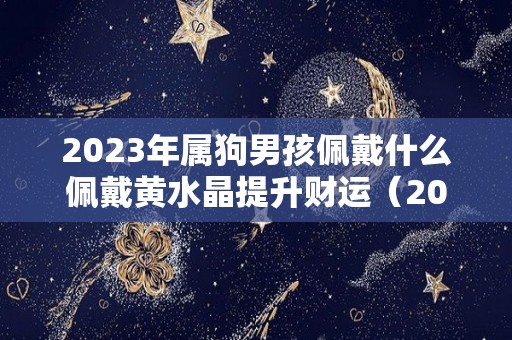 2023年属狗男孩佩戴什么佩戴黄水晶提升财运（2021年属狗男人佩戴什么最好）