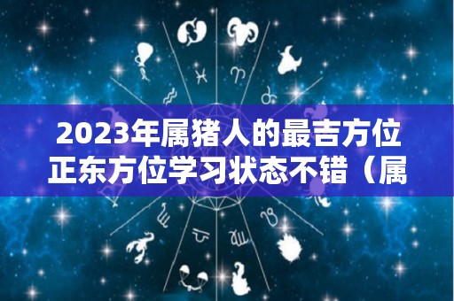 2023年属猪人的最吉方位正东方位学习状态不错（属猪的在2023年的运势怎么样 全年）