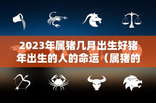 2023年属猪几月出生好猪年出生的人的命运（属猪的人2023年适合生孩子吗）