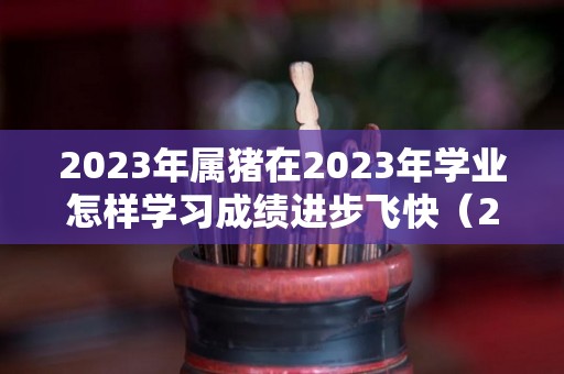 2023年属猪在2023年学业怎样学习成绩进步飞快（2023年属猪的全年运程）