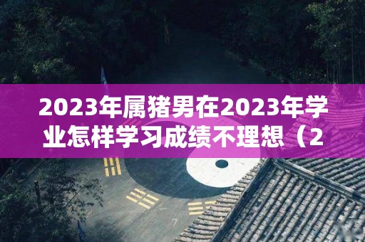 2023年属猪男在2023年学业怎样学习成绩不理想（2023年属猪男全年运势）