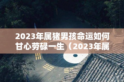 2023年属猪男孩命运如何甘心劳碌一生（2023年属猪人的命运怎么样）